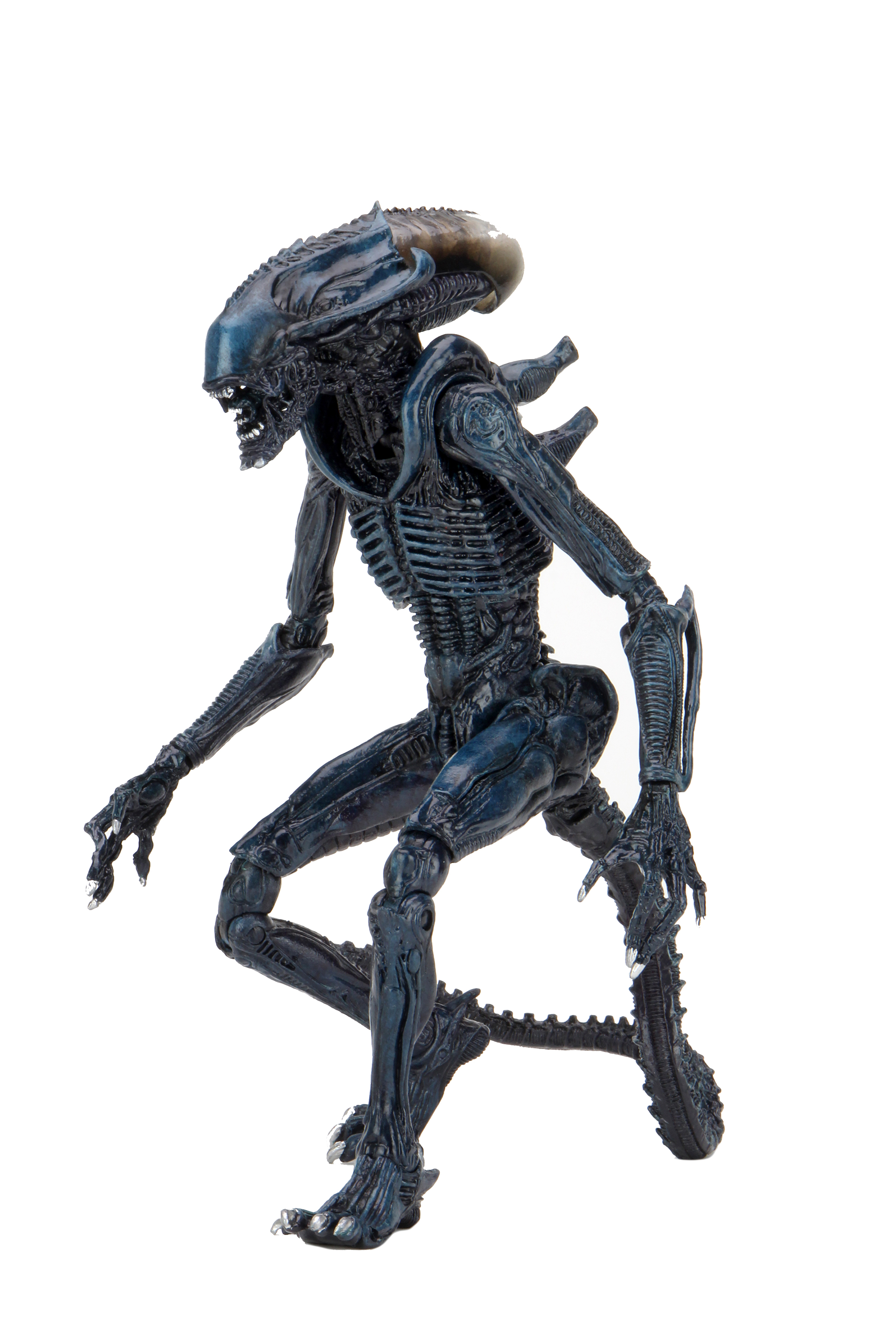 ALIEN VS PREDATOR MOVIE DECO ALIEN 7IN AF ASST