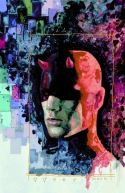 DAREDEVIL #19