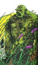 SAGA OF THE SWAMP THING HC BOOK 02 (MR)