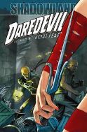 DAREDEVIL #510 2ND PTG CHECCHETTO VAR (PP #938)