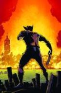 MARVEL UNIVERSE VS WOLVERINE #4 (OF 4)