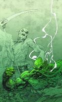SWAMP THING #19