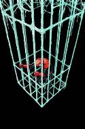 SUPERIOR SPIDER-MAN #11 NOW