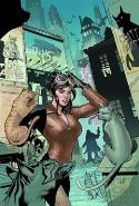 CATWOMAN #25 (ZERO YEAR)