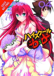 HIGH SCHOOL DXD GN VOL 04 (MR)