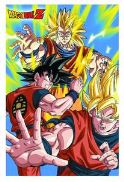 DBZ SS3 GOKU WALL SIGN