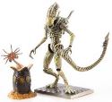 ALIENS XENOMORPH BOILER PX 1/18 SCALE FIGURE