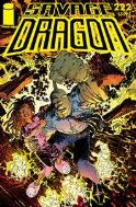 SAVAGE DRAGON #222 (MR)