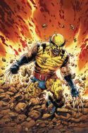 RETURN OF WOLVERINE #1 (OF 5) MCNIVEN ORIGINAL WOLVERINE VAR