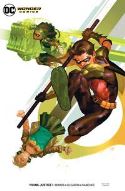 YOUNG JUSTICE #1 ROBIN VAR ED