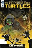 TMNT ONGOING #93 10 COPY INCV DUNCAN