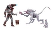 ALIEN & PREDATOR CLASSICS 6IN ACTION FIGURE ASST