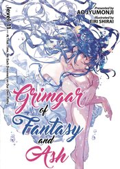 GRIMGAR OF FANTASY & ASH LIGHT NOVEL VOL 11