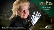 HARRY POTTER GOBLET OF FIRE WORMTAIL 1/6 COLL AF