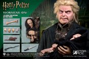 HARRY POTTER GOBLET OF FIRE WORMTAIL 1/6 COLL AF DLX VER (NE