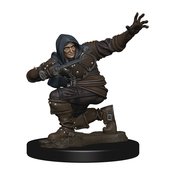 PATHFINDER BATTLES HUMAN ROGUE MALE PREMIUM PAINTED FIG (APR