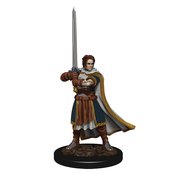 D&D ICONS REALM PREMIUM PAINTED FIG HUMAN CLERIC MALE