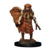 D&D ICONS REALM PREMIUM PAINTED FIG HUMAN DRUID MALE