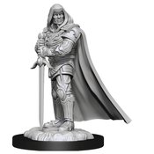 D&D NOLZARS MARVELOUS MINIS HUMAN PALADIN MALE