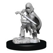 D&D NOLZARS MARVELOUS MINIS HALFLING ROGUE MALE