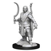 D&D NOLZARS MARVELOUS MINIS HUMAN RANGER MALE