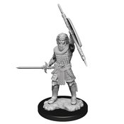 D&D NOLZARS MARVELOUS MINIS HUMAN FIGHTER MALE