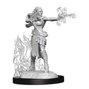 D&D NOLZARS MINIS MULTICLASS WARLOCK SORCERER FEMALE