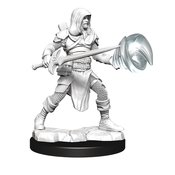 D&D NOLZARS MINIS MULTICLASS FIGHTER WIZARD MALE