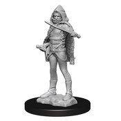 D&D NOLZARS MARVELOUS MINIS DARKLING ELDER & DARKLINGS