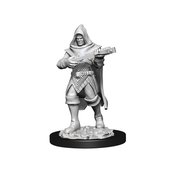 PATHFINDER DEEPCUTS MINI HUMAN ROGUE MALE