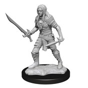 PATHFINDER DEEPCUTS MINI ELF FIGHTER MALE