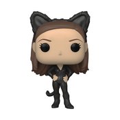 POP TV FRIENDS MONICA AS CATWOMAN VIN FIG