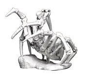 D&D NOLZARS MARVELOUS MINI DRIDER (AUG208682)