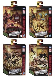 TRANSFORMERS GEN WFCK DLX AF ASST 202101  (AUG208958) (