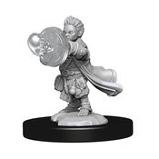 PATHFINDER DEEPCUTS MINI HALFLING WIZARD MALE