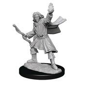 PATHFINDER DEEPCUTS MINI ELF SORCERER MALE