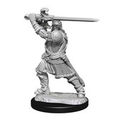 D&D NOLZURS MARVELOUS MINIS HUMAN PALADIN MALE