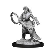 D&D NOLZURS MARVELOUS MINIS HUMAN MONK FEMALE