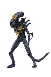 ALIENS BATTLE DAMAGE ALIEN WARRIOR PX 1/18 SCALE FIGURE