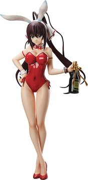 IS INFINITE STRATOS HOUKI SHINONONO 1/4 PVC BARE LEG BUNNY V