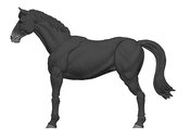 MIGHTY STEEDS BASIC HORSES SMOKE 1/18 AF