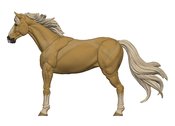 MIGHTY STEEDS BASIC HORSES GOLDIE 1/18 AF