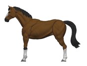 MIGHTY STEEDS BASIC HORSES SOCKS 1/18 AF