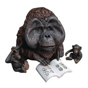 DAWN O/T PLANET O/T APES MAURICE DEFO REAL SOFT VINYL DLX (N