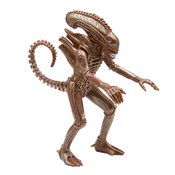 ALIENS ALIEN WARRIOR STEALTH VERSION REACTION FIG  (O/A