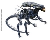 AVP BATTLE DAMAGE ALIEN QUEEN PX 1/18 SCALE FIGURE (APR21853
