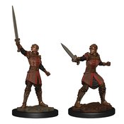 CRITICAL ROLE UNPAINTED MINI HUMAN EMPIRE FIGHTER FEMALE (AP