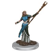 D&D ICONS REALMS FIG FEMALE ELF SORCEROR (APR218978)