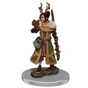 D&D ICONS REALMS FIG FEMALE HUMAN DRUID (APR218980)