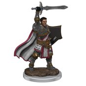 D&D ICONS REALMS FIG MALE HUMAN PALADIN (APR218985)